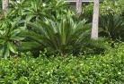 North Plantationstropical-landscaping-4.jpg; ?>